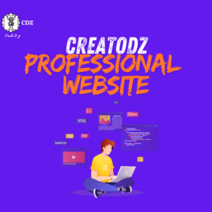 Professional Website Package