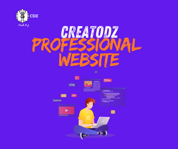 Professional Website Package